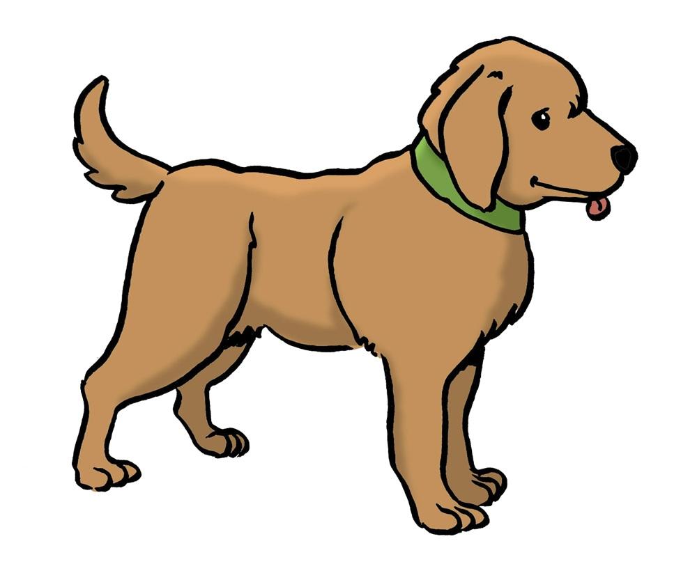 brauner Hund 