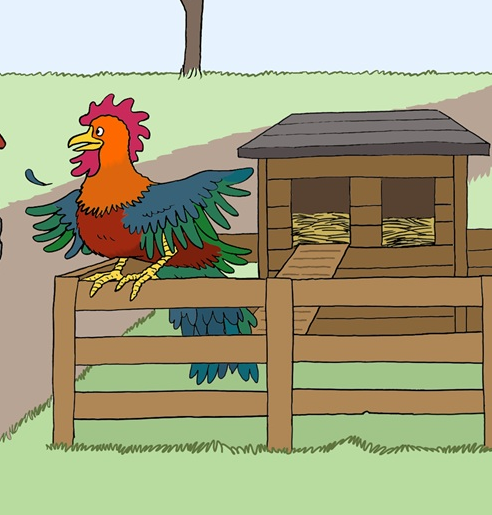 Hahn auf einem Zaun am Gehege