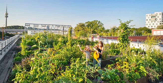 Haus mit begrüntem Dach – intensive Dachbegrünung als natürlicher Schutz vor Sommerhitze.