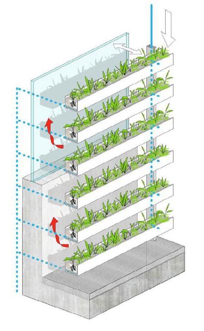Illustration einer grünen Fassadenbegrünung: Pflanzen an der Hauswand als natürlicher Hitzeschutz.