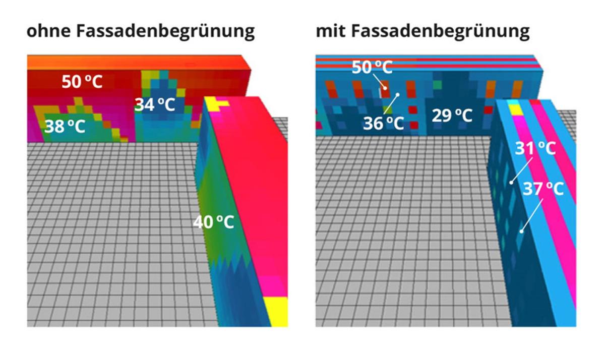 Illustration einer Fassadenbegrünung mit Pflanzen zur Reduzierung von Hitze.