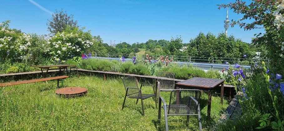Intensive Dachbegrünung – dicht bepflanztes Gründach auf einem Gebäude zum Schutz vor Hitze.