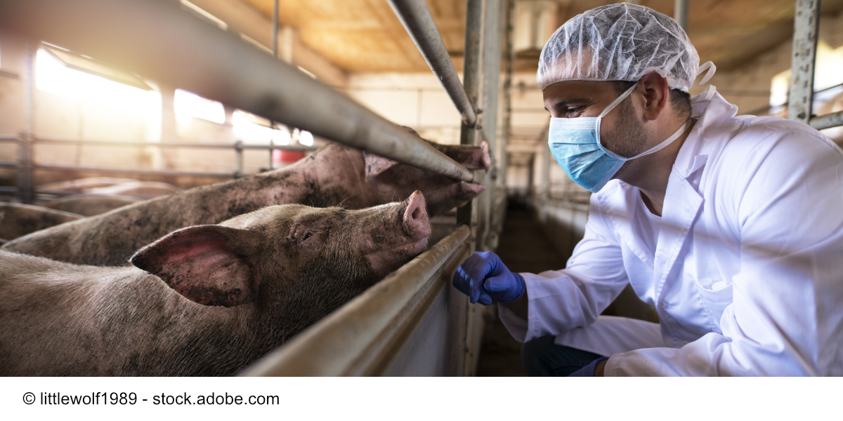 Antibiotika und resistente Keime: Bei Bio-Produkten deutlich seltener ...