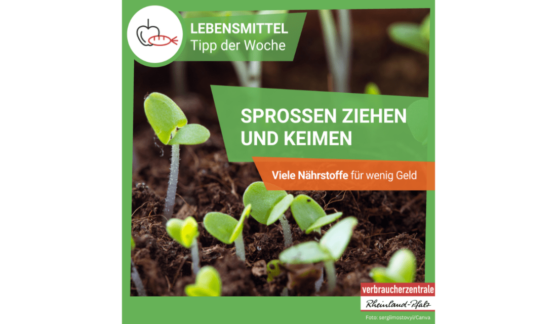 Lebensmitteltipp der Woche. Sprossen ziehen und Keimen; Viele Nährstoff für wenig Geld. 
