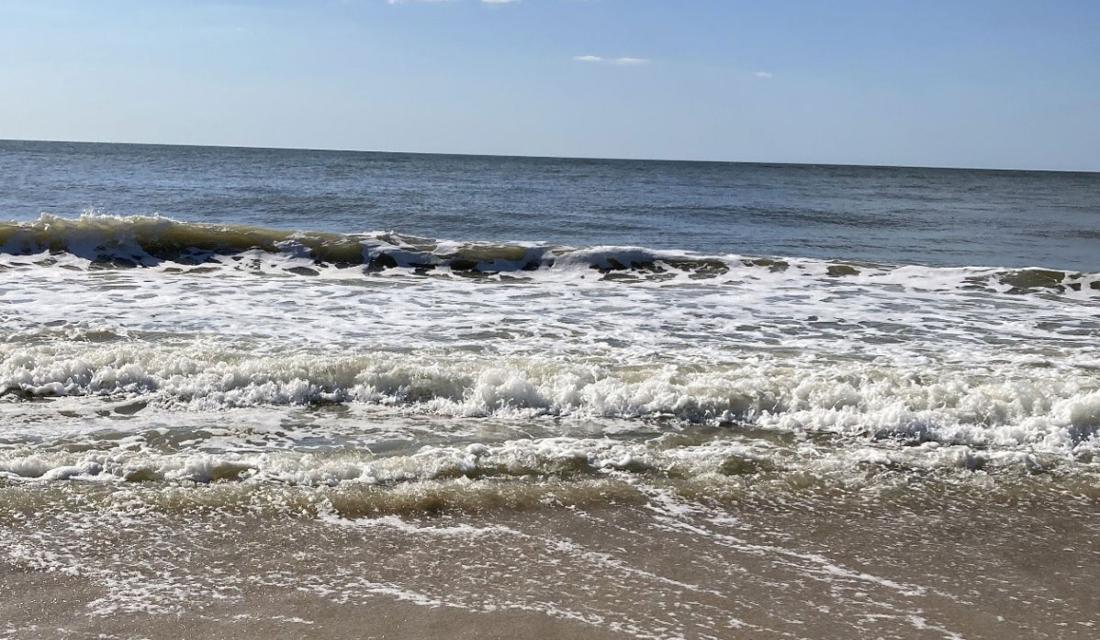 Ein brauner Strand im hellblauen Himmel