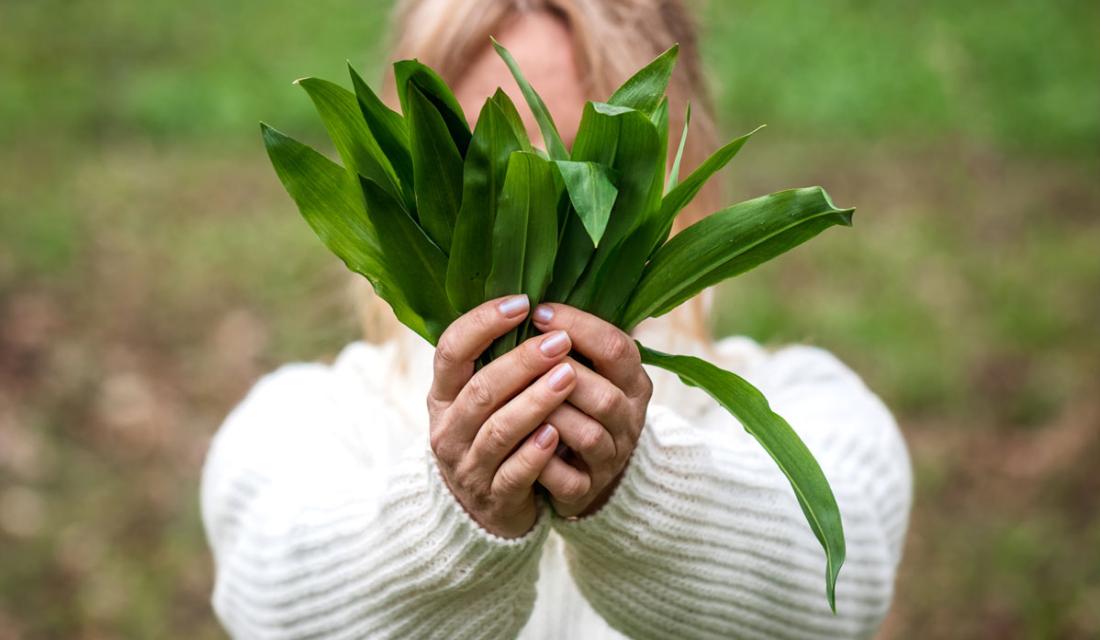 Frau hält Bärlauch in die Kamera.