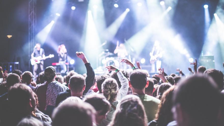 Menschen auf einem Konzert.