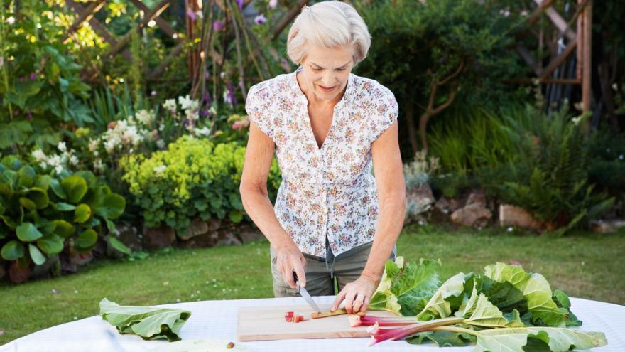 Eine Frau schneidet Rhabarber