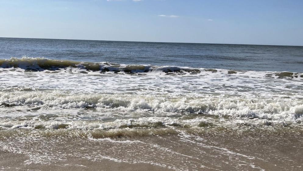 Ein brauner Strand im hellblauen Himmel