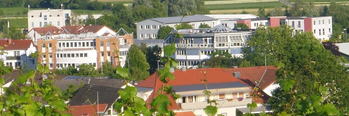 Blick auf die Stadt Oppenheim.