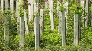 Das Geld nachhaltig anlegen. 