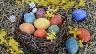 Ein Korb mit bunten Ostereiern auf einer Wiese. Um den Korb herum liegen bunte Eier und Blumen.