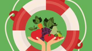 Ein Rettungsring, in dem zwei Hände Obst und Gemüse halten