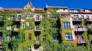 Haus mit einer begrünten Fassade