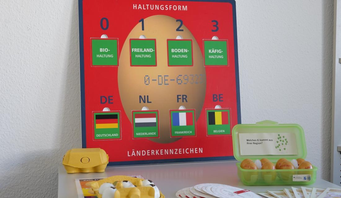 Ein Tisch mit verschiedenen Eierkartons und Eiern. Im Hintergrund ein Poster mit Informationen zur Eierkennzeichnung.
