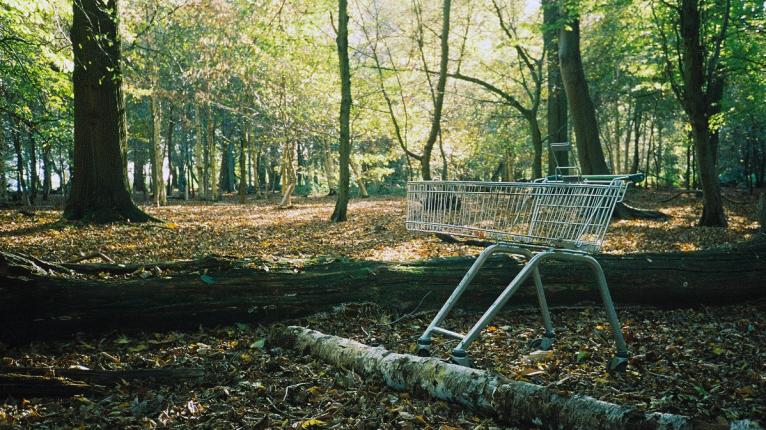 Mitten in einem Wald steht ein leerer Einkaufswagen.